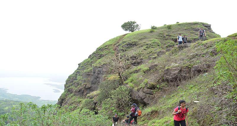 ooty hiking