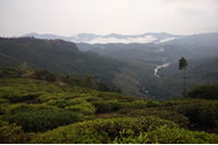 tent camp ooty